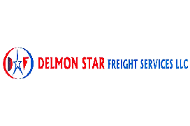 DELMON STAR FREIGHT SERVICES LLC