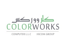 COLOR WORKS COMPUTER LLC