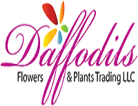 DAFFODILS FLOWERS AND PLANT TRADING LLC