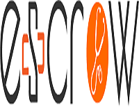 ESCROW MEDICAL BILLING SERVICES LLC