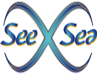 SEE X SEA CRUISE LINE LLC