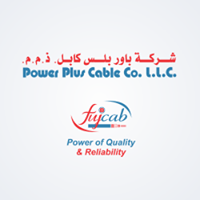 POWER PLUS CABLES CO LLC