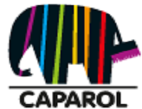 CAPAROL PAINTS LLC