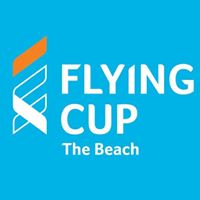 FLYING CUP COFFEE SHOP LLC