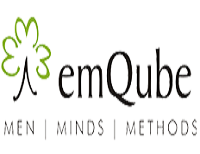 EMQUBE LLC