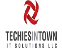TECHIES IN TOWN IT SOLUTION LLC