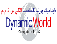 DYNAMIC WORLD COMPUTERS LLC