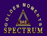 SPECTRUM LLC