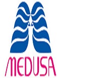 MEDUSA PAPER TRADING LLC