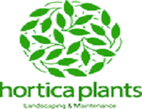 HORTICA PLANTS LLC
