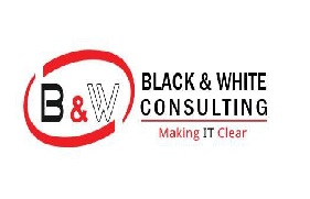 BLACK AND WHITE CONSULTING COMPANY