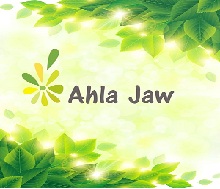 AHLA JAW TRADING LLC