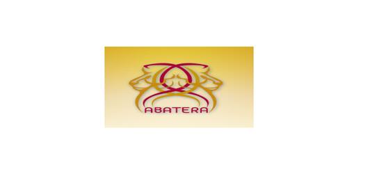 ABATERA REAL ESTATE BROKERS LLC