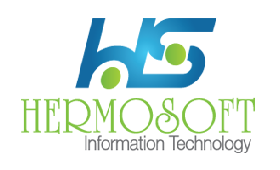 HERMOSOFT INFIRMATION TECHNOLOGY