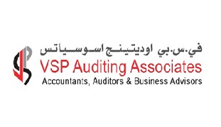 VSP AUDITING ASSOCIATES