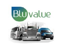 BLU VALUE GENERAL TRADING LLC