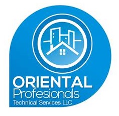 ORIENTAL PROFESSIONALS TECHNICAL SERVICES LLC