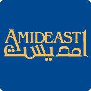 AMERICA MIDEAST EDUCATIONAL AND TRAINING SERVICES