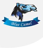BLUE CAMEL GENERAL TRADING LLC