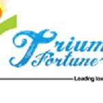TRIUMPH FORTUNE GENERAL TRADING LLC