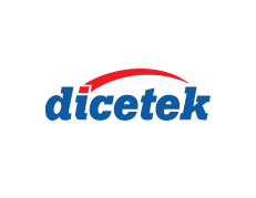 DICETEK LLC