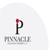 PINNACLE INSURANCE BROKERS LLC