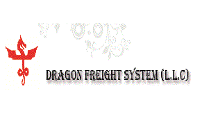 DRAGON FREIGHT SYSTEM LLC